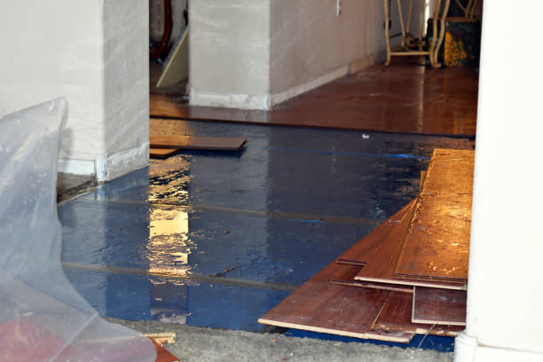 Professional Burst Pipe Cleanup technician working in Tolar, TX
